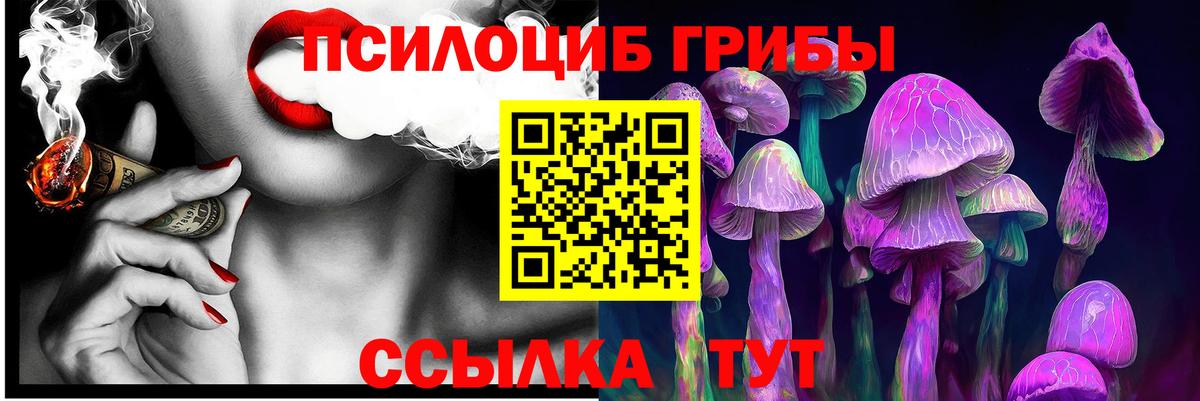 Верхний Уфалей  Псилоцибиновые грибы MAGIC MUSHROOMS  Вход с VPN 
